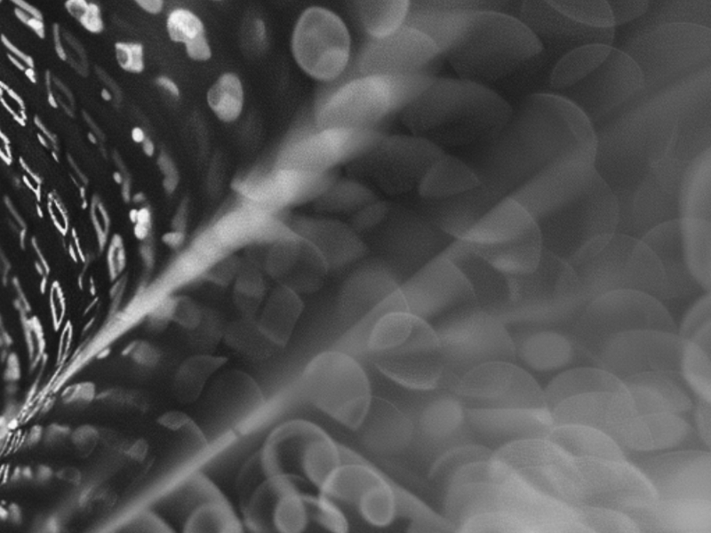 about-image